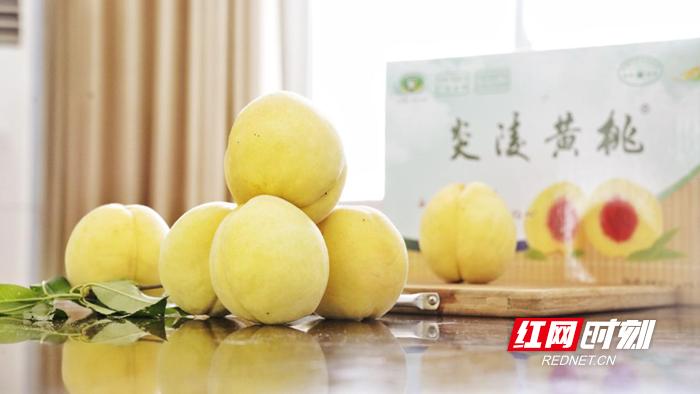 图片2.jpg 图片2.jpg